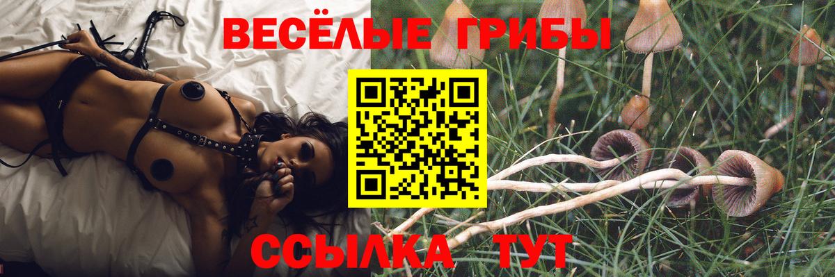 Галлюциногенные грибы MAGIC MUSHROOMS  Вход с VPN  Королёв 
